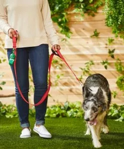 Frisco Traffic Leash with Padded Handles & Poop Bag Dispenser, Red, Length: 6ft, Width: 1-in + Refill Dog Poop Bags, Scented, 120 count 15 Frisco Traffic Leash with Padded Handles & Poop Bag Dispenser, Red, Length: 6ft, Width: 1-in + Refill Dog Poop Bags, Scented, 120 count -Pet Food Gear Shop 319524 PT4. SY630 V1630621912