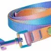 Frisco Purple Ombre Style Dog Leash