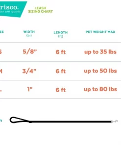 Frisco Purple Ombre Style Dog Leash -Pet Food Gear Shop 324514 PT2. SY630 V1642518892