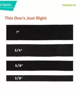 Frisco Pink Ombre Style Dog Leash -Pet Food Gear Shop 324523 PT3. SY630 V1642518221