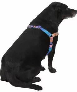 Frisco Purple Ombre Style Dog Harness -Pet Food Gear Shop 324526 PT3. SY630 V1642519104