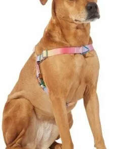 Frisco Pink Ombre Style Dog Harness -Pet Food Gear Shop 324536 PT2. SY630 V1642518223