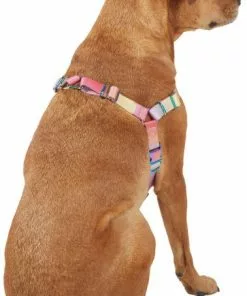 Frisco Pink Ombre Style Dog Harness -Pet Food Gear Shop 324536 PT3. SY630 V1642518755