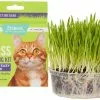 Frisco Natural Cat Grass Growing Kit