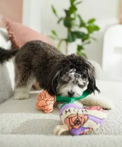 Frisco Mother's Day Rose & Heart Plush Squeaky Dog Toy, 2 count -Pet Food Gear Shop 327033 PT3. SY630 V1646947953