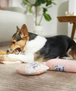 Frisco Mother's Day Gifts Plush Squeaky Dog Toy, 3 count 7 Frisco Mother's Day Gifts Plush Squeaky Dog Toy, 3 count -Pet Food Gear Shop 327035 PT3. SY630 V1646947993