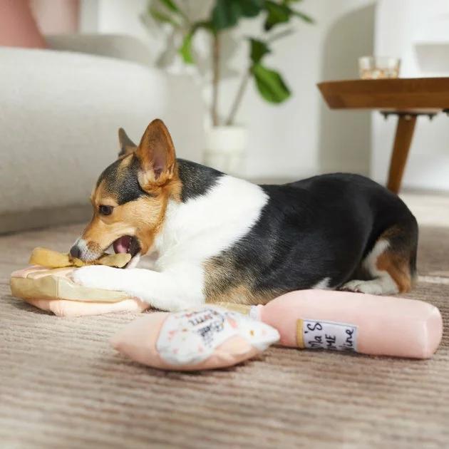 Frisco Mother's Day Gifts Plush Squeaky Dog Toy, 3 count 5 Frisco Mother's Day Gifts Plush Squeaky Dog Toy, 3 count - Image 3