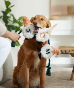 Frisco Mother's Day Gnomes Plush with Rope Squeaky Dog Toy -Pet Food Gear Shop 327037 PT3. SY630 V1646948102