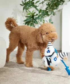 Frisco Dad Gnome Plush with Rope Dog Toy 7 Frisco Dad Gnome Plush with Rope Dog Toy -Pet Food Gear Shop 327053 PT3. SY630 V1648667286