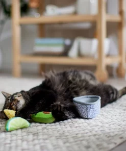 Frisco Guacamole Bowl Cat Toy with Catnip, Medium, 4 count 9 Frisco Guacamole Bowl Cat Toy with Catnip, Medium, 4 count -Pet Food Gear Shop 327059 PT3. SY630 V1645205519