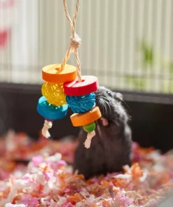 Frisco Small Pet Dangly Wooden Chew Toy -Pet Food Gear Shop 330871 PT3. SY630 V1647530133