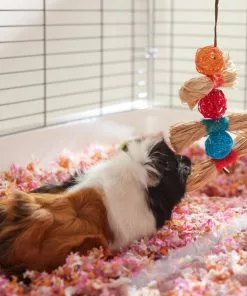 Frisco Small Pet Hanging Ball & Grass Chew Toy 7 Frisco Small Pet Hanging Ball & Grass Chew Toy -Pet Food Gear Shop 330879 PT3. SY630 V1647530212