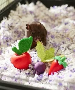 Frisco Small Pet Wooden Fruit Assortment Chew Toy -Pet Food Gear Shop 330883 PT2. SY630 V1647530150