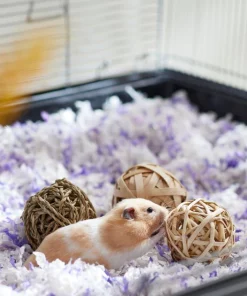 Frisco Trio Balls Small Pet Chew Toys -Pet Food Gear Shop 330885 PT2. SY630 V1647530230