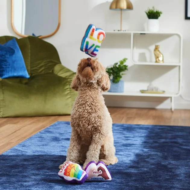 Frisco Pride Symbols Plush Squeaky Dog Toy, 3 count 6 Frisco Pride Symbols Plush Squeaky Dog Toy, 3 count - Image 4