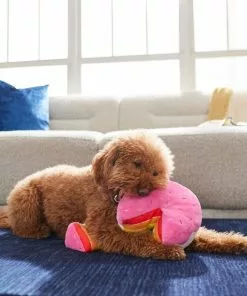 Frisco Pride Cake Plush Squeaky Dog Toy, 2 count -Pet Food Gear Shop 331636 PT3. SY630 V1647355871