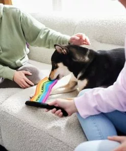 Frisco Pride Flag Flat Squeaky Dog Toy 7 Frisco Pride Flag Flat Squeaky Dog Toy -Pet Food Gear Shop 331640 PT3. SY630 V1647355852