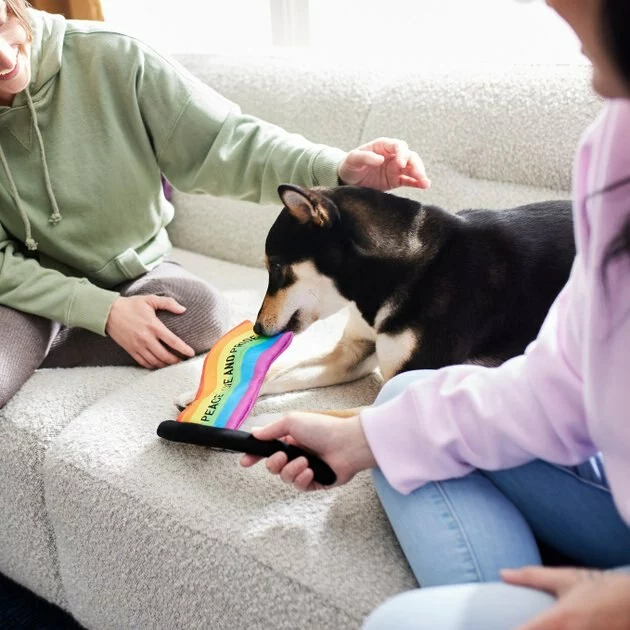 Frisco Pride Flag Flat Squeaky Dog Toy 5 Frisco Pride Flag Flat Squeaky Dog Toy - Image 3