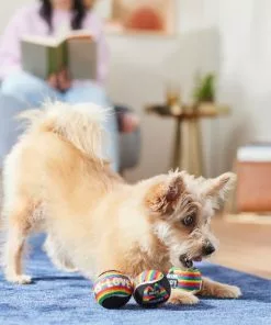 Frisco Pride Squeaking Tennis Ball Dog Toy, 3 count -Pet Food Gear Shop 331644 PT3. SY630 V1647355895