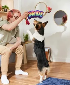 Frisco Pride Plush with Rope Squeaky Dog Toy -Pet Food Gear Shop 331661 PT3. SY630 V1647356002