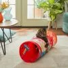 Frisco Pride Tie Dye Foldable Play Tunnel Cat Toy with Catnip -Pet Food Gear Shop 331680 MAIN. SY630 V1647356050