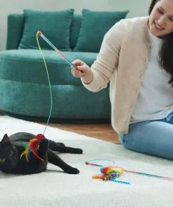 Frisco Pride Teaser Wand Cat Toy with Catnip, 2 count -Pet Food Gear Shop 331682 PT3. SY630 V1647355648