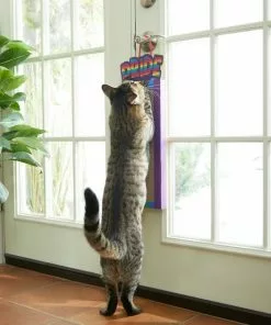 Frisco Pride Rainbow Hanging Cat Scratcher Toy with Catnip -Pet Food Gear Shop 331686 PT3. SY630 V1647355633