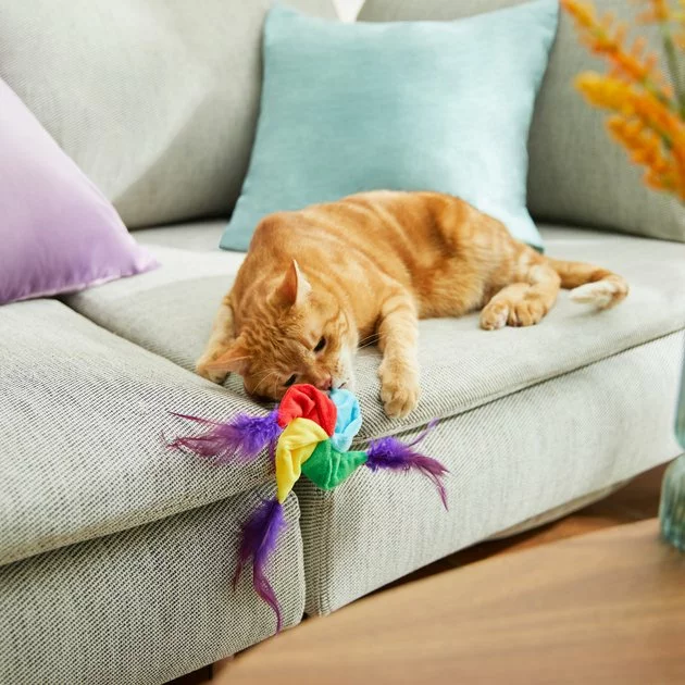 Frisco Pride Pin Wheel Cat Toy 5 Frisco Pride Pin Wheel Cat Toy - Image 3