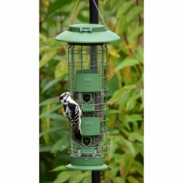 Frisco Squirrel Defense Wild Bird Feeder 5 Frisco Squirrel Defense Wild Bird Feeder - Image 3