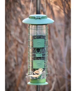 Frisco Squirrel Defense Wild Bird Feeder 9 Frisco Squirrel Defense Wild Bird Feeder -Pet Food Gear Shop 333277 PT4. SY630 V1646664996