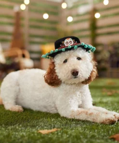 Frisco Day of the Dead Dog & Cat Hat -Pet Food Gear Shop 334496 PT6. SY630 V1657719482