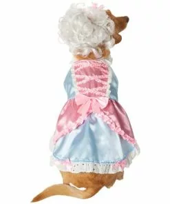 Frisco 18th Century Dog & Cat Dress Costume 11 Frisco 18th Century Dog & Cat Dress Costume -Pet Food Gear Shop 334767 PT3. SY630 V1658368065