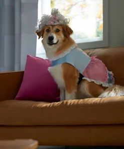 Frisco 18th Century Dog & Cat Dress Costume 14 Frisco 18th Century Dog & Cat Dress Costume -Pet Food Gear Shop 334767 PT7. SY630 V1657656879