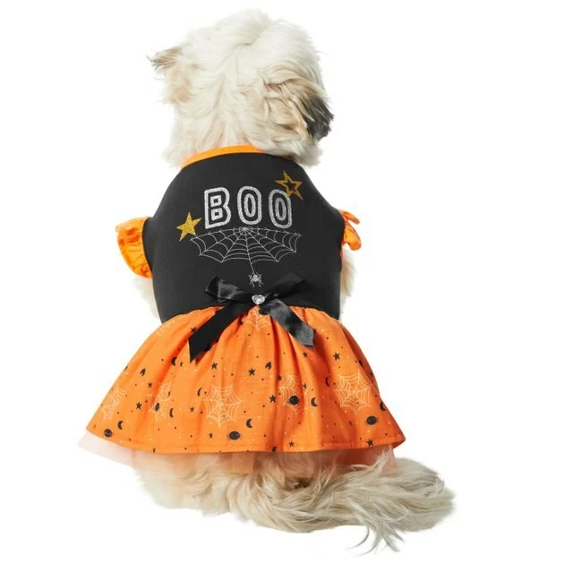 Frisco Boo Dog & Cat Dress 3 Frisco Boo Dog & Cat Dress