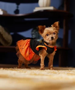Frisco Boo Dog & Cat Dress 12 Frisco Boo Dog & Cat Dress -Pet Food Gear Shop 334825 PT7. SY630 V1657722650