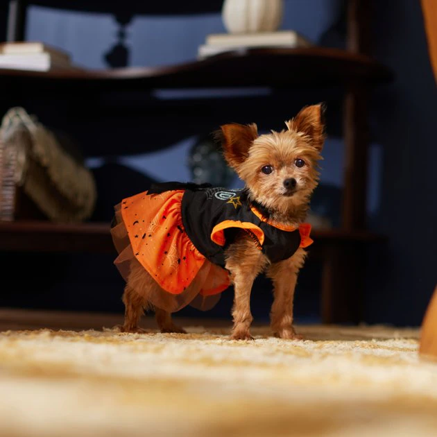 Frisco Boo Dog & Cat Dress 7 Frisco Boo Dog & Cat Dress - Image 5