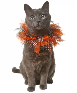 Frisco Cat Collar Ruffle Costume Accessory, One Size