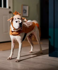 Frisco Deer Dog & Cat Costume -Pet Food Gear Shop 334873 PT7. SY630 V1659035214