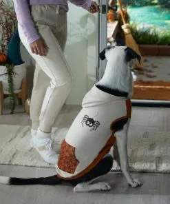 Frisco Happy Spider Dog & Cat Hoodie -Pet Food Gear Shop 334957 PT7. SY630 V1657721208