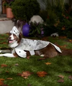 Frisco Seal Dog & Cat Costume 16 Frisco Seal Dog & Cat Costume -Pet Food Gear Shop 334980 PT7. SY630 V1657731231