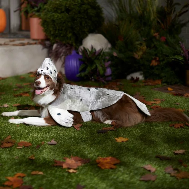 Frisco Seal Dog & Cat Costume 9 Frisco Seal Dog & Cat Costume - Image 7