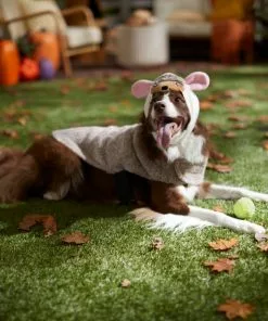 Frisco Hedgehog Dog & Cat Costume -Pet Food Gear Shop 334989 PT7. SY630 V1657656881