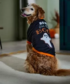 Frisco Here for the Boos Dog & Cat T-Shirt -Pet Food Gear Shop 335004 PT7. SY630 V1657657478