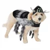 Frisco Spider Dog & Cat Costume -Pet Food Gear Shop 335012 MAIN. SY630 V1658716905