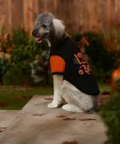 Frisco Little Beast Dog & Cat T-Shirt -Pet Food Gear Shop 335021 PT7. SY630 V1657720507