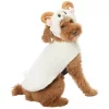 Frisco Sheep Dog & Cat Costume