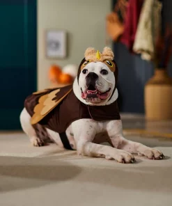 Frisco Owl Dog & Cat Costume -Pet Food Gear Shop 335049 PT7. SY630 V1657718971