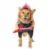 Frisco Punk Rocker Dog & Cat Costume -Pet Food Gear Shop 335082 MAIN. SY630 V1658345611