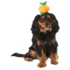 Frisco Pumpkin Headband Dog & Cat Costume Accessory 2 Frisco Pumpkin Headband Dog & Cat Costume Accessory -Pet Food Gear Shop 335090 MAIN. SY630 V1658349060