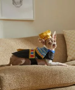Frisco Royal Pharoah Dog & Cat Costume -Pet Food Gear Shop 335113 PT7. SY630 V1659537098